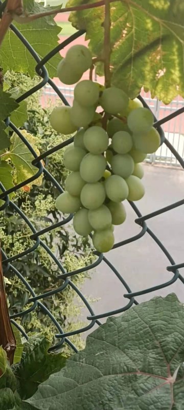 ΢ͼƬ_20210916142709.jpg