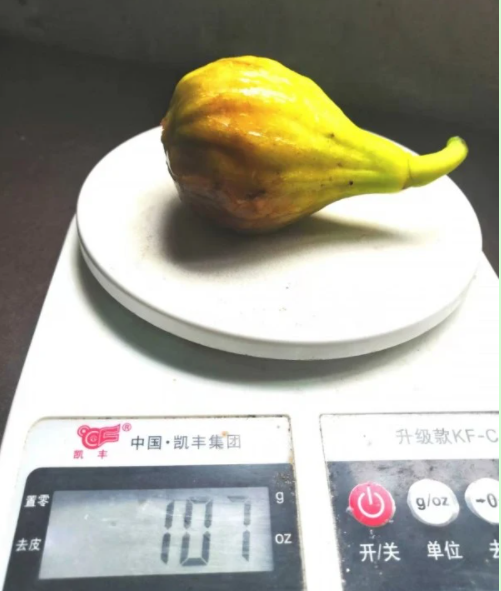 ΢ͼƬ_20210921165253.png