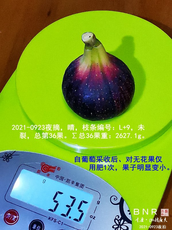 ΢ͼƬ_20210924092128.jpg