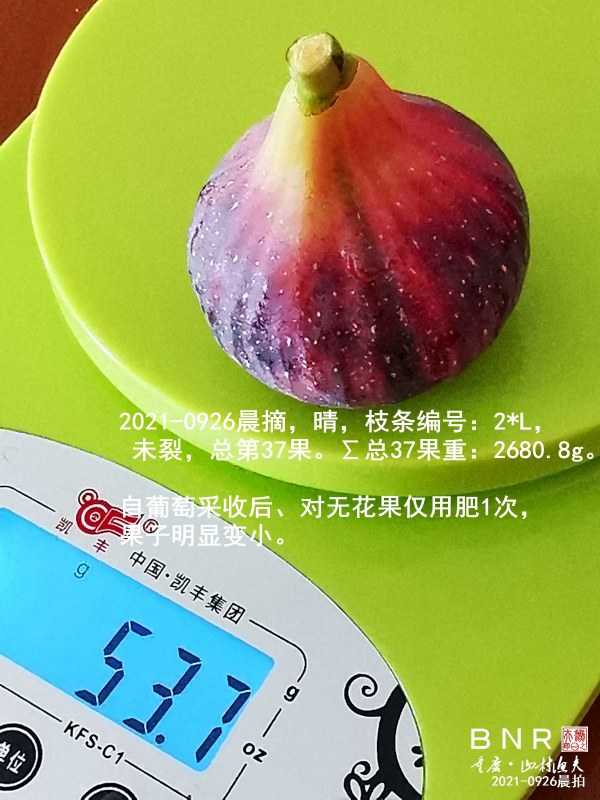 ΢ͼƬ_20210926094351.jpg