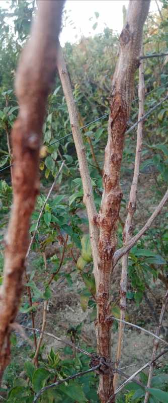 IMG_20211011_073446.jpg