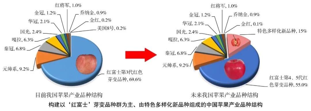 62.webp (1).jpg