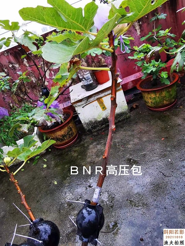 B-01.jpg