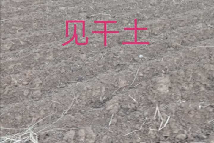 Screenshot_20211015_070616.jpg