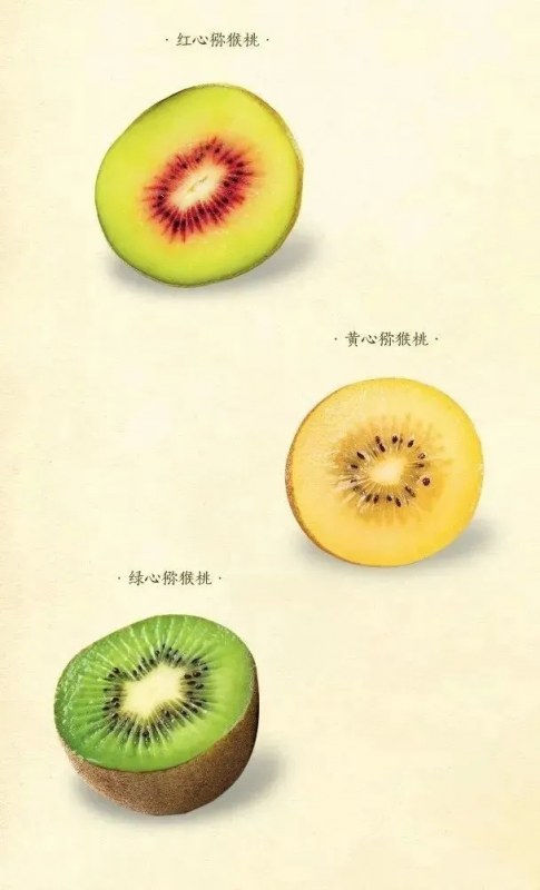 49.webp.jpg