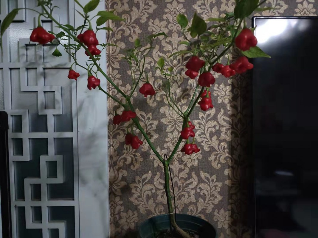 ΢ͼƬ_20211020224619.jpg