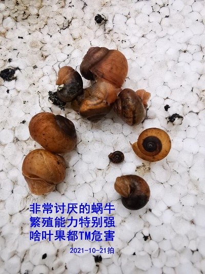 ţ01.jpg
