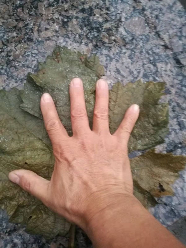 ΢ͼƬ_20211021204814.jpg
