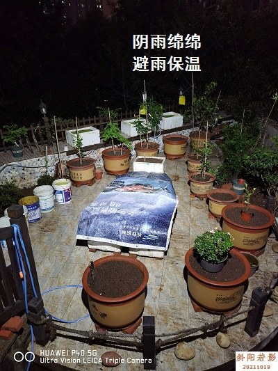 QQͼƬ20211021225409.jpg