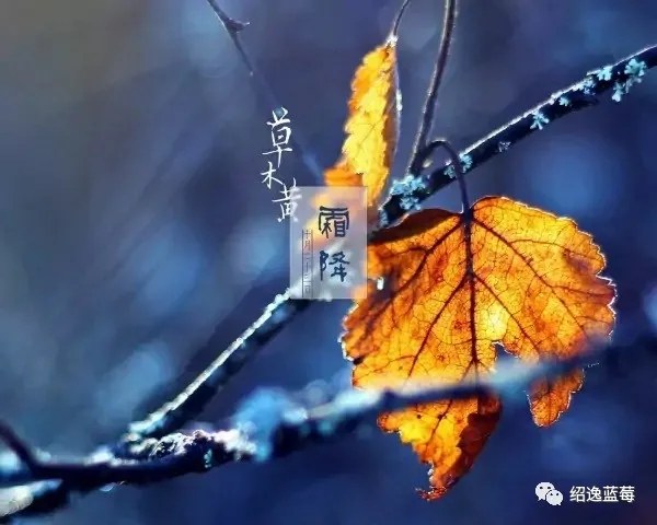 62.webp (1).jpg