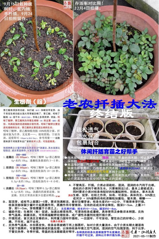 ũǤս棨2021-05-11.jpg