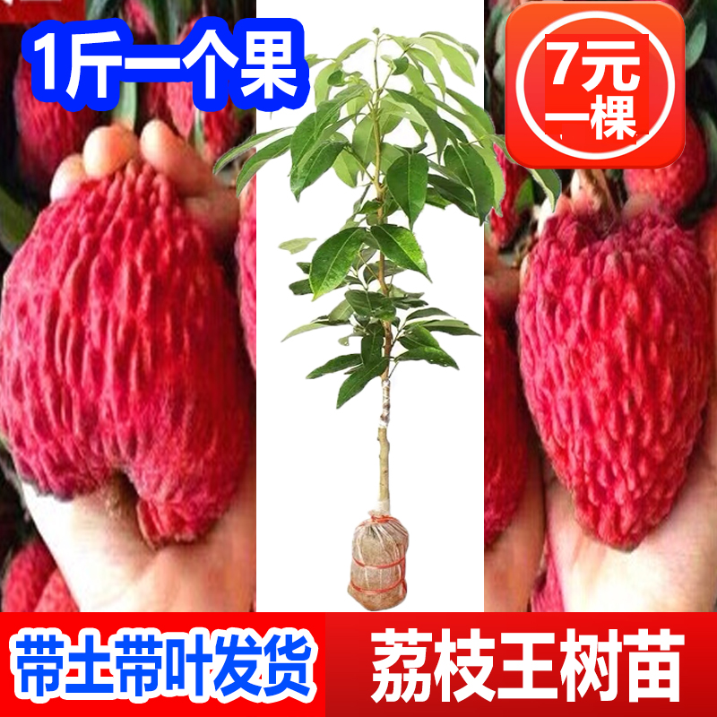 ΢��ͼƬ_20211029130605.png