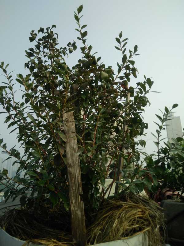 IMG20211030091430.jpg