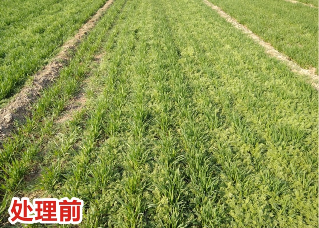处理签1.jpg