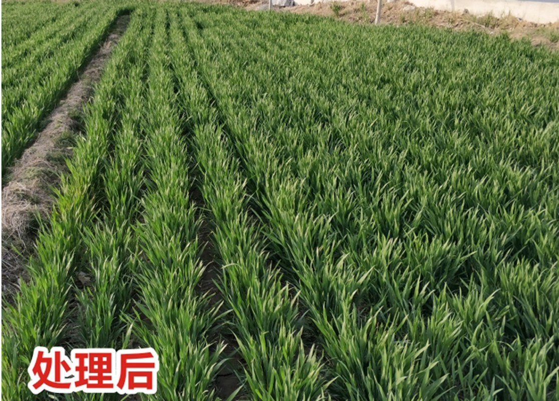 处理后1.jpg