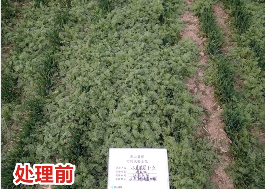 处理签2.jpg