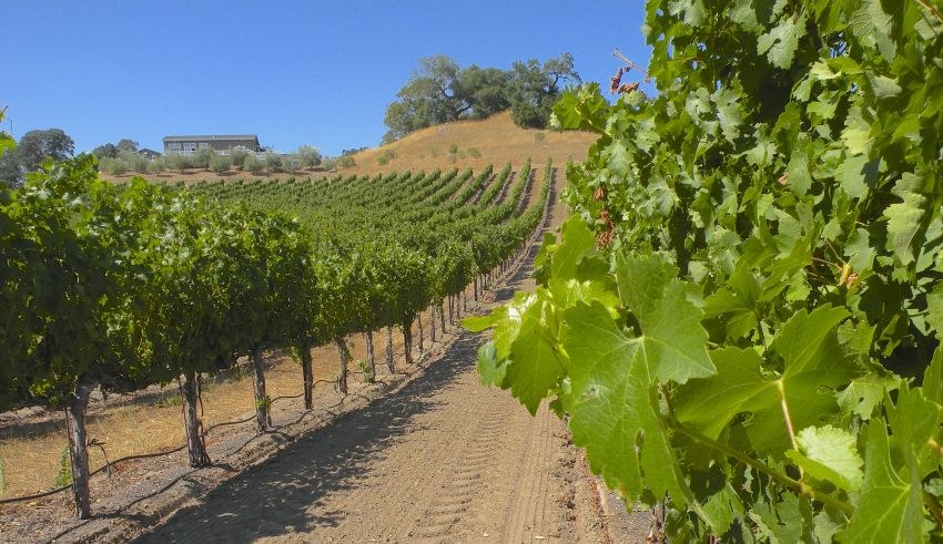 JordanWny0715_071-850x491.jpg