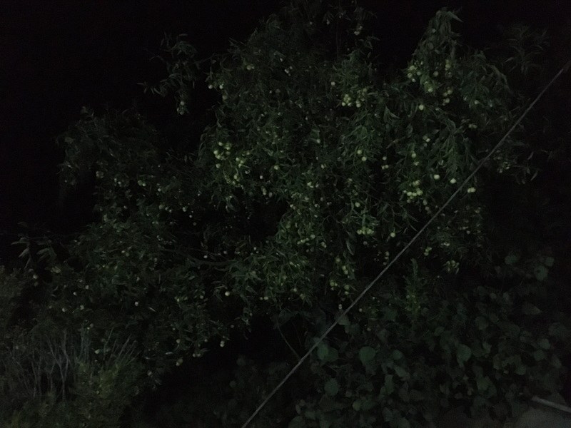 QQͼƬ20211207230207_С.jpg