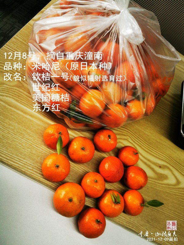 ΢ͼƬ_20211209111810.jpg