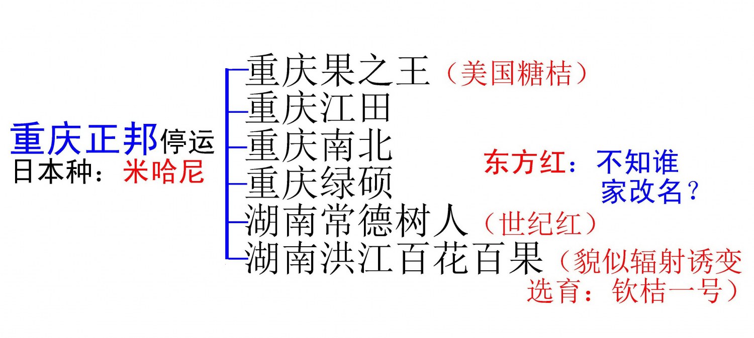 11111.jpg