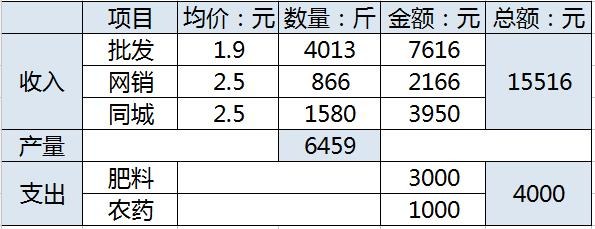 我的2021--火龙果入坑第二年总结8925 作者:mainyoung 