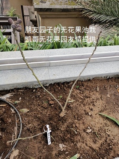 QQͼƬ20220118214629.jpg
