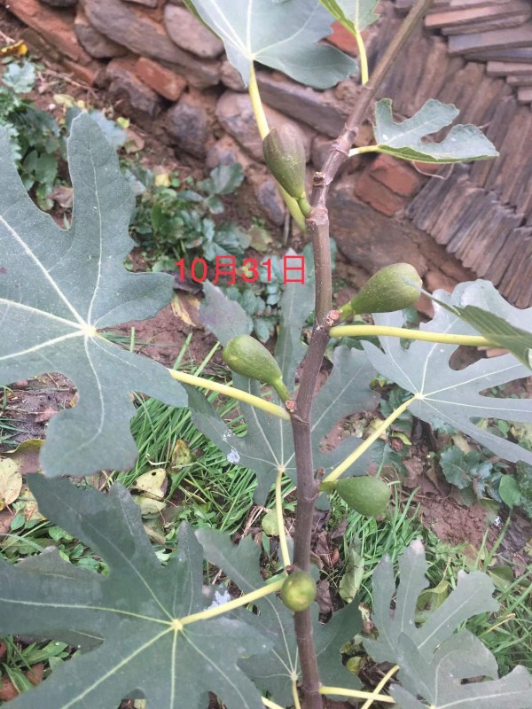 ΢ͼƬ_202201210857233.jpg