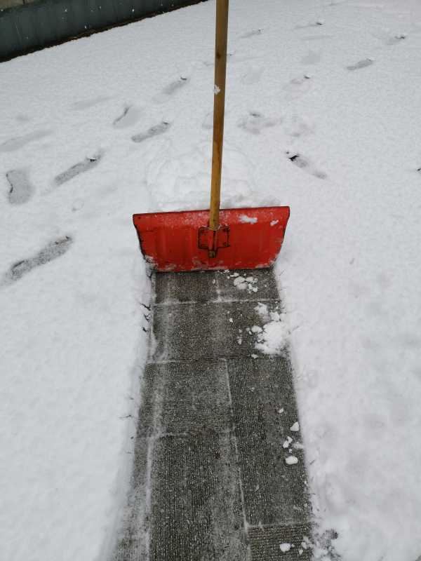 IMG_20220122_100444.jpg