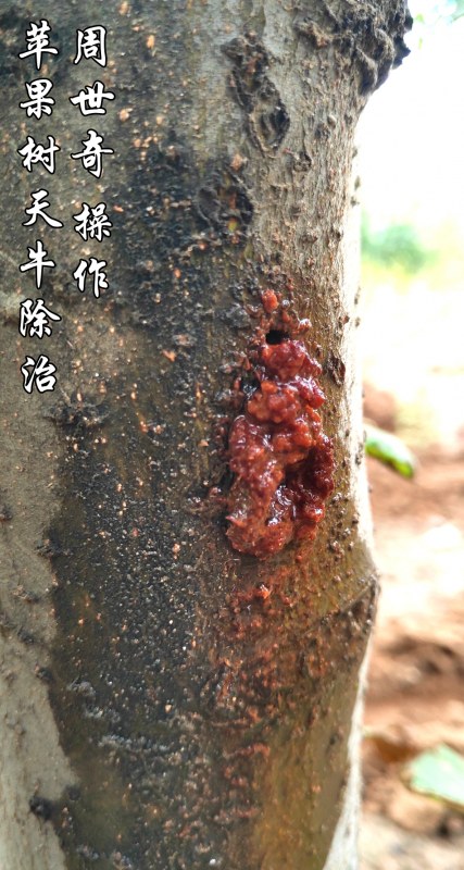 ƻţ1.jpg