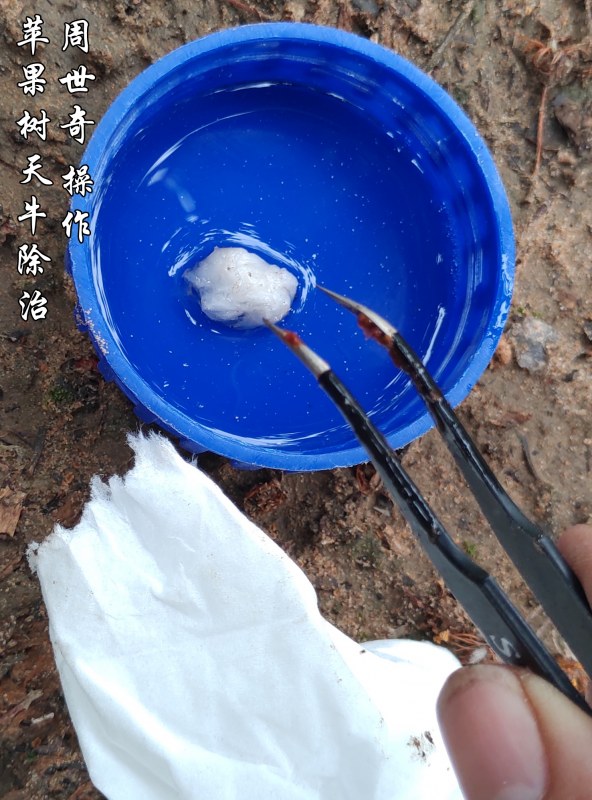 ƻţ3.jpg