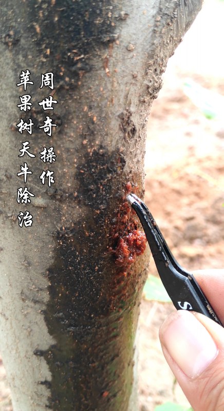 ƻţ5.jpg