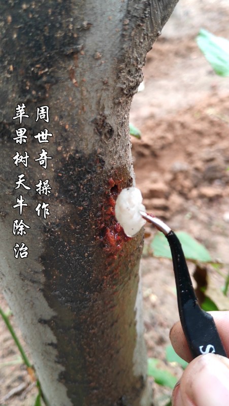 ƻţ4.jpg