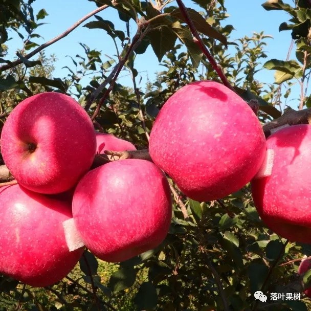 32.webp (1).jpg