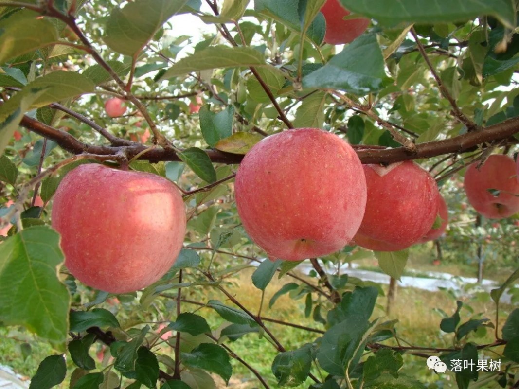 33.webp (1).jpg