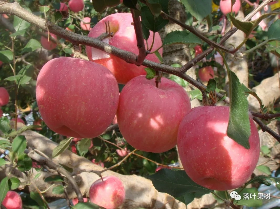 37.webp (1).jpg