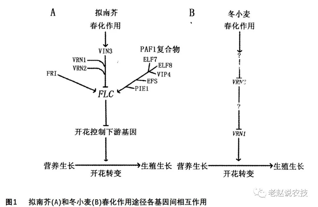 1.webp (3).jpg