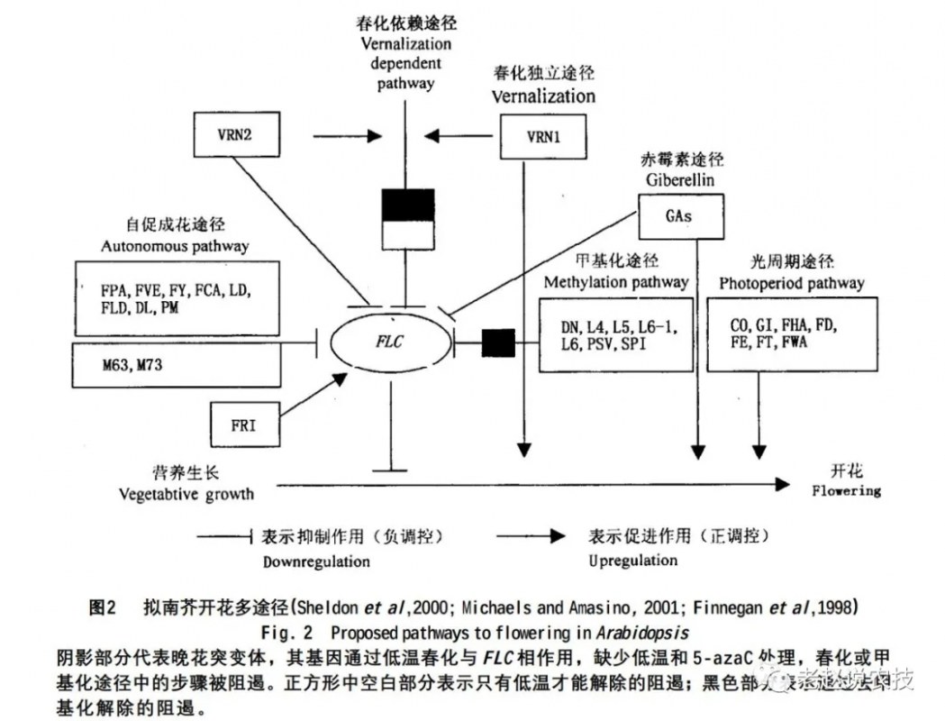 2.webp (3).jpg