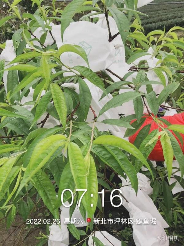 WeChat �DƬ_20220227123426.jpg
