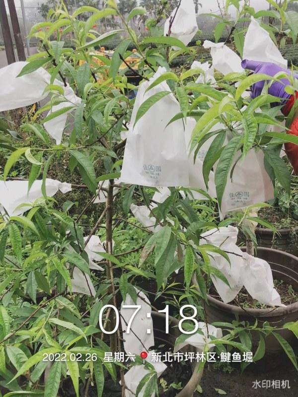 WeChat �DƬ_20220227123435.jpg