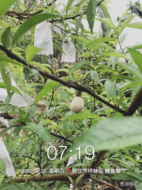 WeChat �DƬ_20220227123444.jpg