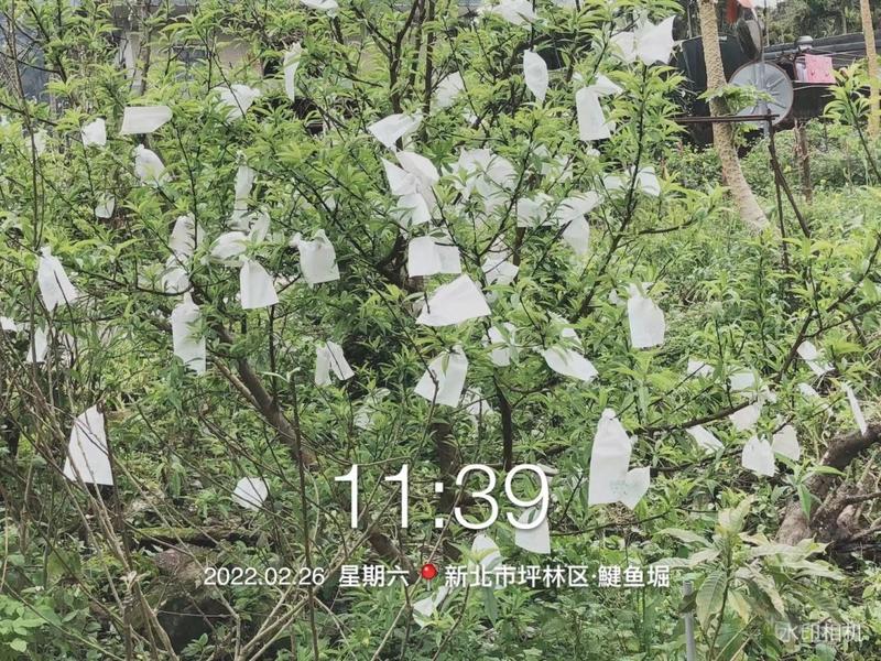 WeChat �DƬ_20220227123745.jpg