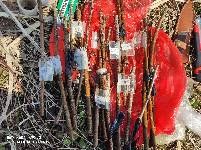 IMG_20220226_113211.jpg.JPG