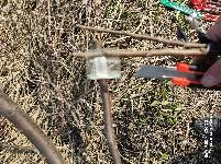 IMG_20220226_113455.jpg.JPG