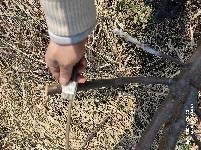 IMG_20220226_114020.jpg.JPG