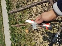 IMG_20220226_115820.jpg.JPG