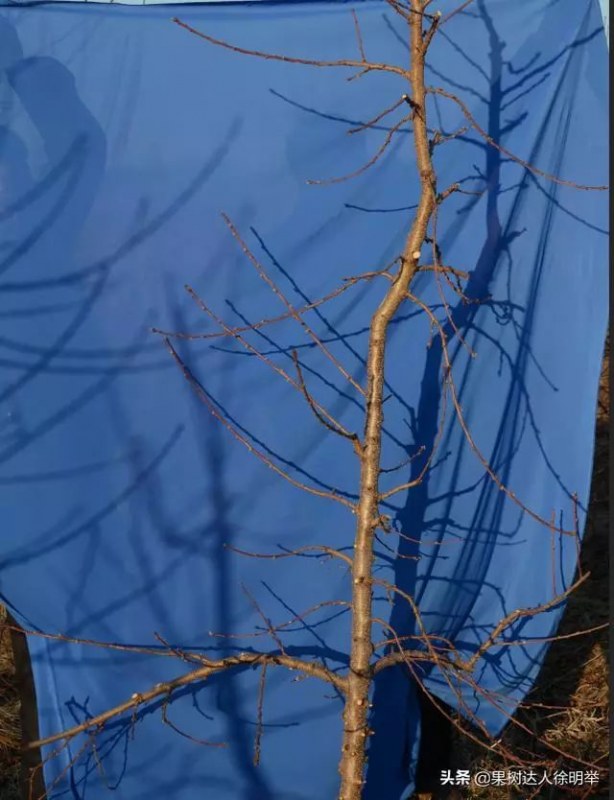 50.jpg