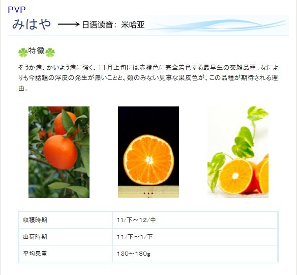 ҳ_27-2-2022_145856_www.ykken.jp.jpg