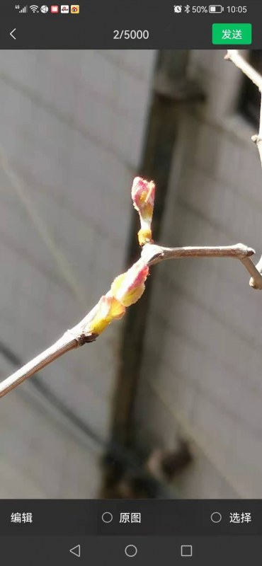 ΢ͼƬ_20220307101217.jpg