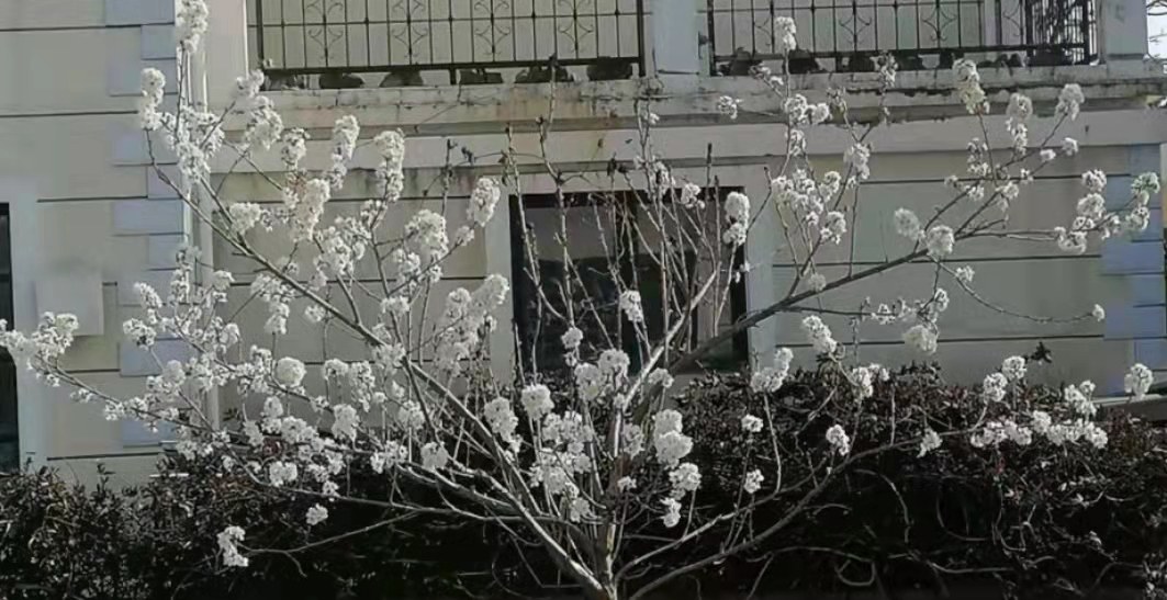 ΢ͼƬ_20220312221007.jpg