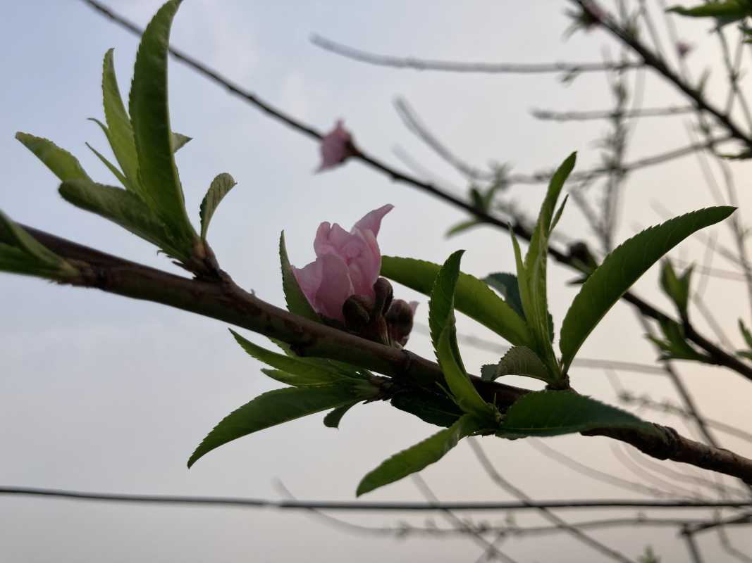 43E24B37-8A95-47D6-9A54-4CCF80CA473A.jpeg